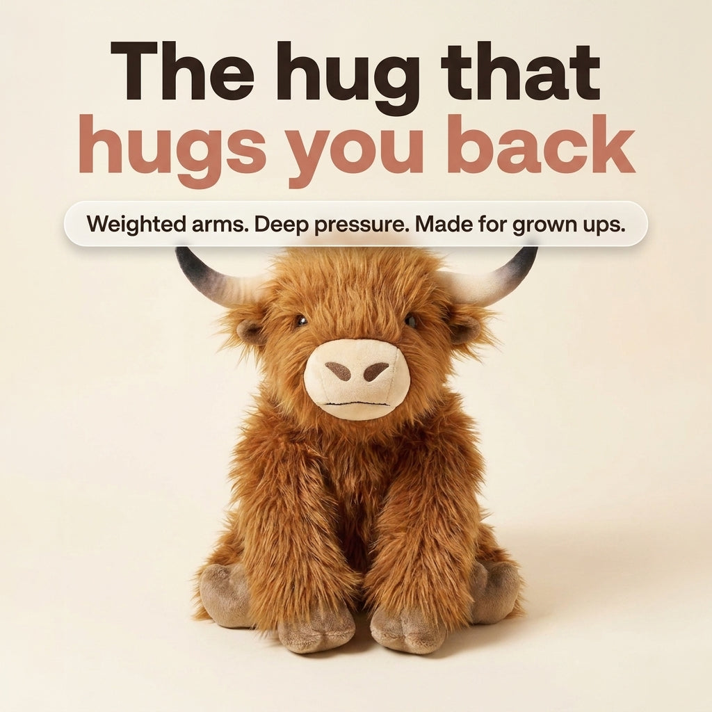 Hamish the Weighted Highland Cow