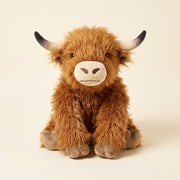 Hamish il Bovino delle Highlands Appesantito