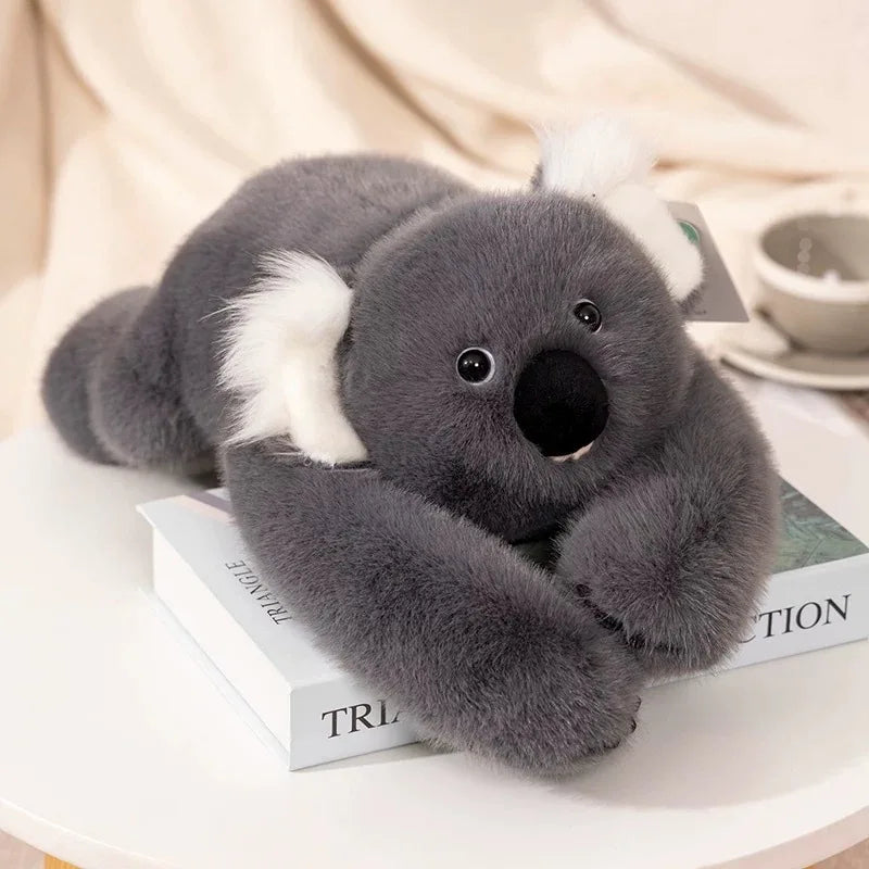 Koa the Weighted Koala